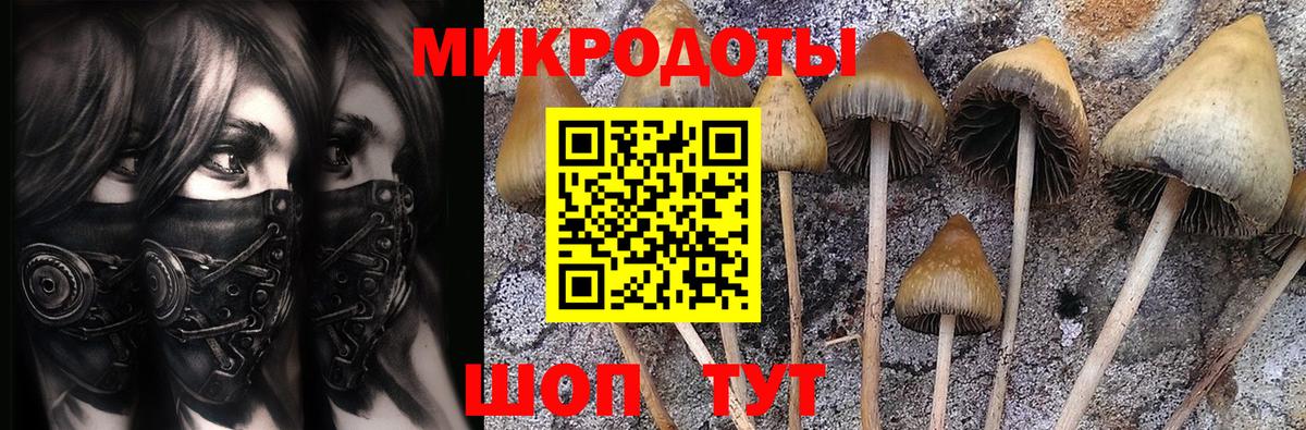 Галлюциногенные грибы MAGIC MUSHROOMS  Вход с VPN  Светлоград  Галлюциногенные грибы мицелий 