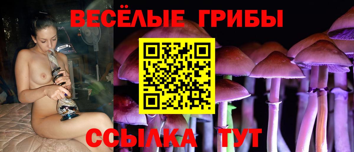 Галлюциногенные грибы Psilocybine cubensis Светлоград